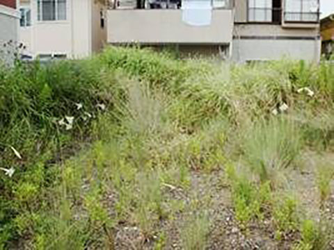 駐車場の草刈り作業