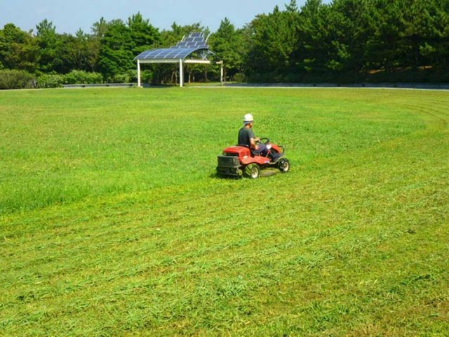 草刈り 除草作業
