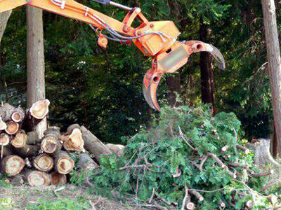 雑木林・竹林伐採後の砕石 真砂土整地工事