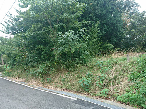 雑木林伐採 伐根工事