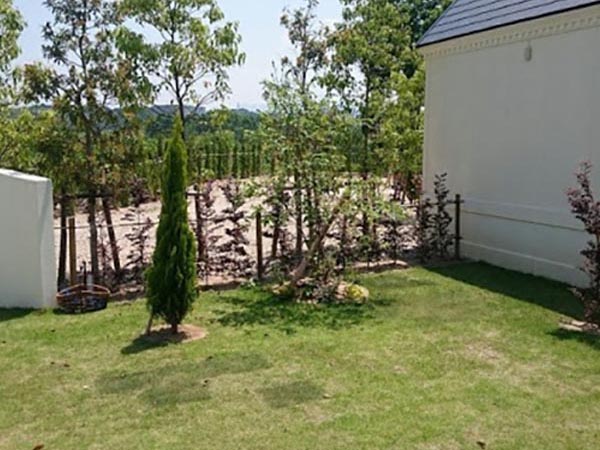 空き家の月極め草刈り 除草維持管理